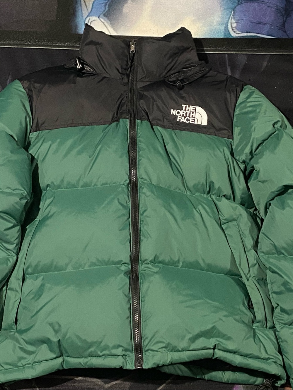 The North Face Green and Black Nuptse-Style Puffer Jacket